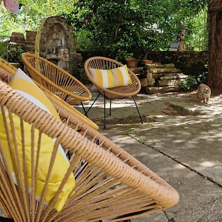 Appartement Le Jardin Aux Camelias à La Roche-sur-Yon Extérieur photo