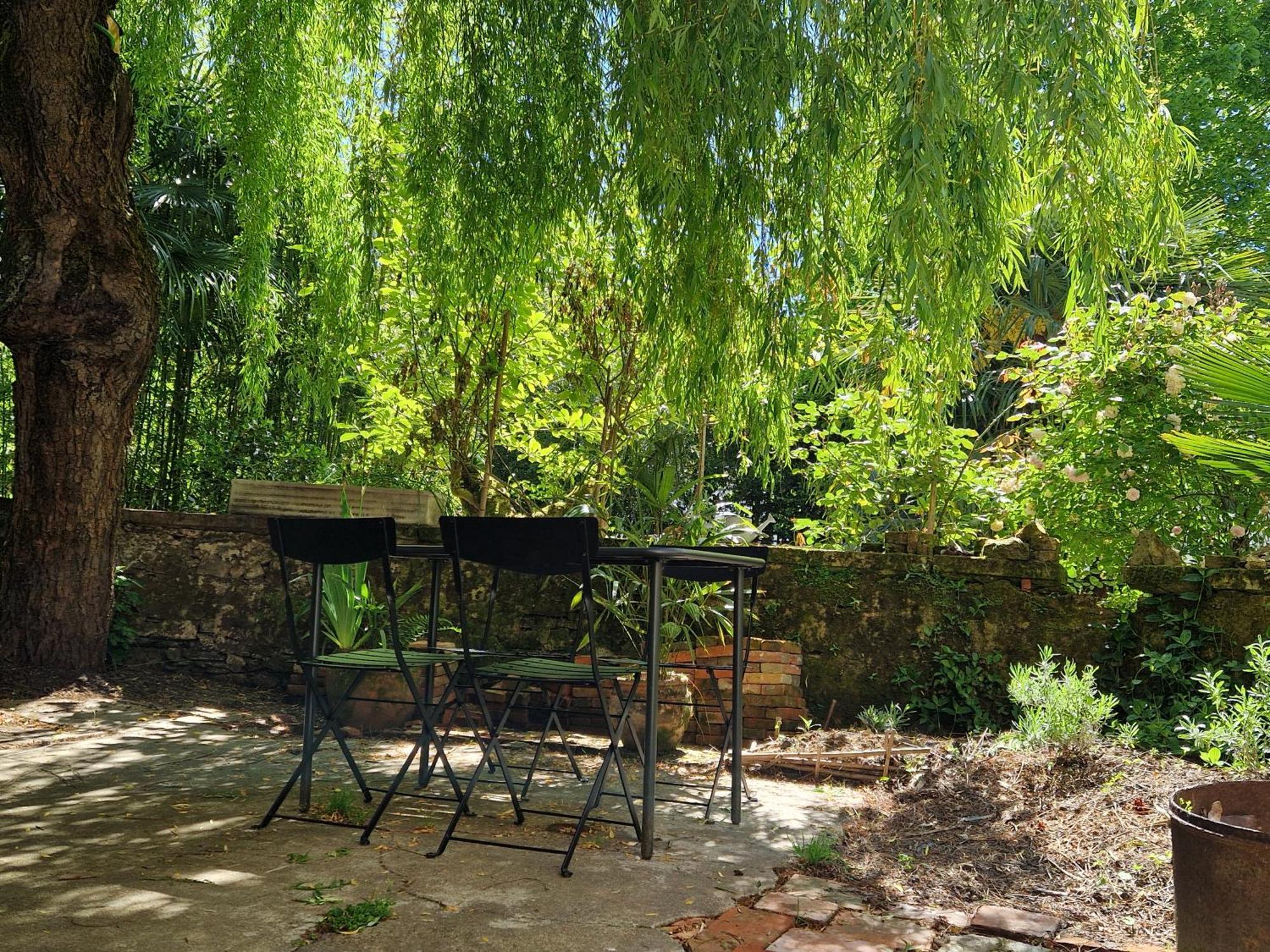 Appartement Le Jardin Aux Camelias à La Roche-sur-Yon Extérieur photo